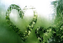 懂球帝能下载赛事直播吗？怎么操作？